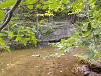 Hawk Inn and Mountain Resort