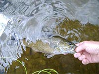 Enjoy our fly fishing school with good friends & family