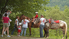 During the warm-weather months, the area comes alive with top-quality resident horses and a dedicated team of trainers
