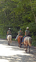 Hawk Stables provides one- and two-hour Western-saddle trail rides, pony rides for children, and old-fashioned carriage rides