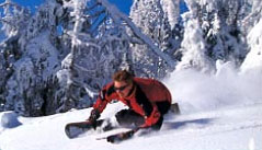 Okemo has something for any skill level