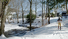 Enjoy the beauty of cross-country skiing within our own trail network