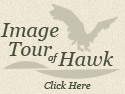 Tour Hawk