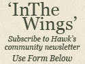 Subscribe to In The Wings