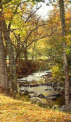 The Black River in Autumn