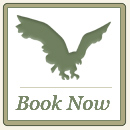 Book Now at Hawk