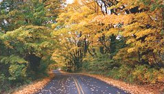 You've got to love those country roads in Vermont!