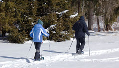 Snowshoeing is a perfect activity for families and outdoor enthusiasts of all ages