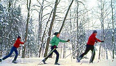 Cross-country skiing is a great group activity