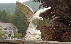 Hawk has just the accommodation you're looking for